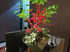 -汤泉良子·沐足·颂钵疗愈·SPA(珠江新城店)