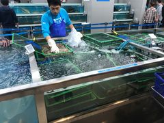 -盒马鲜生(大成店)