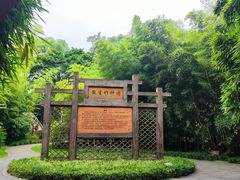 -望江楼公园