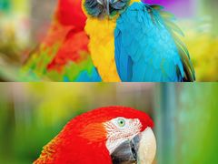 -灵玲国际马戏城