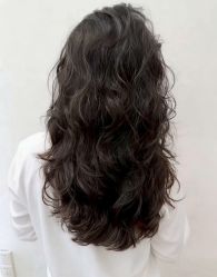 -镁连社·美联社