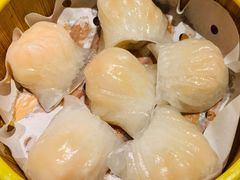 虾饺皇-苔圣园酒家(尊木汇国际艺术广场店)