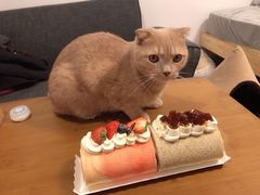 -胖爸爸烘焙工作室(平湖家居店)