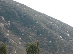 -荆紫仙山景区票务中心