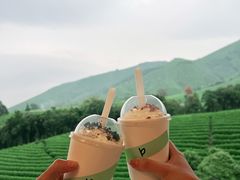-白茶原·一片叶子