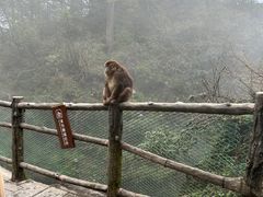 -峨眉山风景名胜区