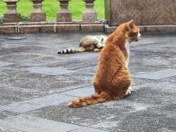 -巍阁高端月子会所