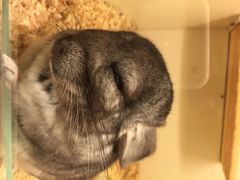 龙猫仔乐园(惠福东路店)-龙猫仔乐园(惠福东路店)