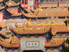-东莞市大岭山森林公园