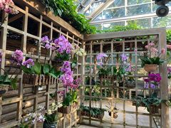 -南山植物园