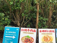 -上海海湾国家森林公园