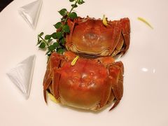 -甄御•海鲜新青岛菜(麦岛店)