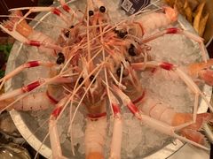 -斯普汇生蚝牛排馆(中骏世界城店)