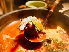 -毛辣果·酸(OHA复兴西路店)