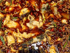 -胖子鱼·天水麻辣鱼火锅(秦州407店)