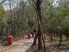 -上海佘山国家森林公园天马山园