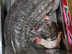 -潮信鱼头王(西环店)