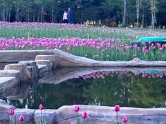 -长春公园(普阳街道)