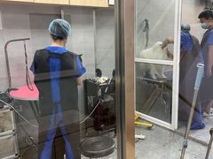 -宠福鑫康馨动物医院·骨科·眼科