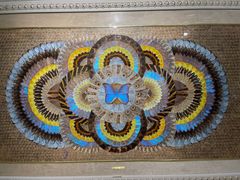 -上海昆虫博物馆