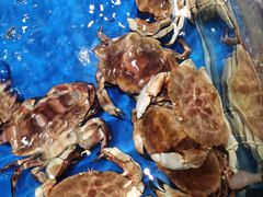 -盒马鲜生(顺义店)