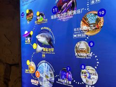 -大连圣亚海洋世界