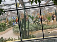 -南宫五洲植物乐园