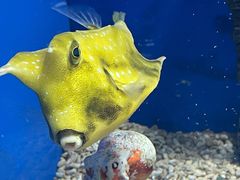 -长春中泰海洋世界