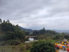 -天强农家菜馆