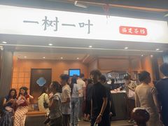-一树一叶·福建茶档(石鼓路店)