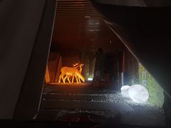 -东方之珠洗浴休闲广场(南开店)