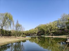 -济南植物园