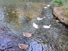 -水磨沟公园