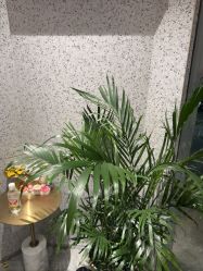 -LJOY丽锦造型·烫发染发