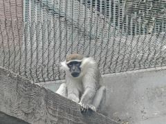 -成都动物园