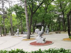 -沈阳市东陵公园