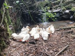 -广州市白云山风景名胜区