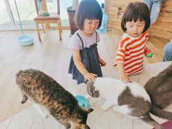 -萌宠亲子动物乐园(槐房万达店)