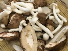-清真·马家火锅美食城(镇江北路店)