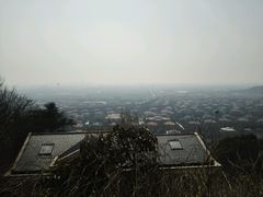 -上海佘山国家森林公园西佘山园