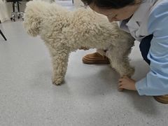 -派美特宠物医院·核磁CT·骨科肿瘤·疑难转诊(沈农禾丰店)