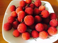 -金汇景海鲜酒家