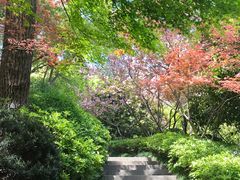 -杭州半山国家森林公园