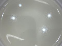 -喜家德虾仁水饺(长泰广场店)