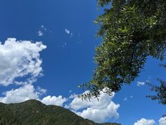-达仓郎木寺院