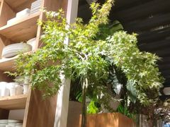 -自由生长植物工作室(深港花卉中心店)