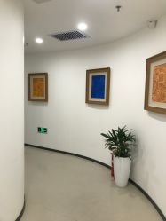 点击看大图 -丰联丽格医疗美容·联合丽格眼整形中心