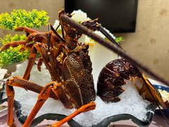 -顺风海鲜港(金玉兰店)
