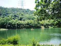 -水濂山森林公园