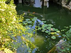 -苏州文旅花间堂·探花府酒店